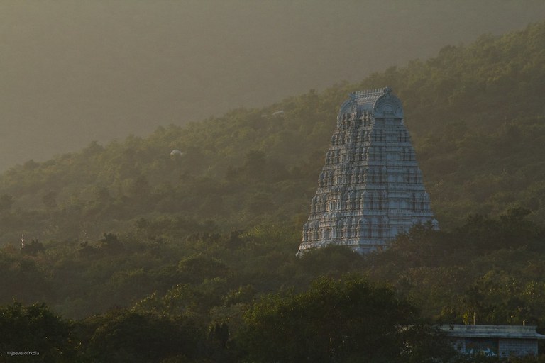 Tirupati